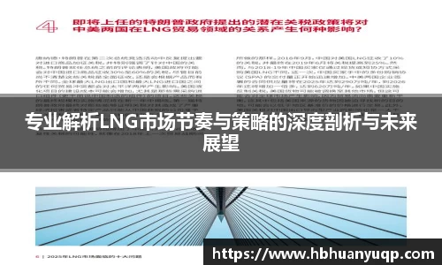 专业解析LNG市场节奏与策略的深度剖析与未来展望